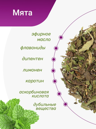 Мята