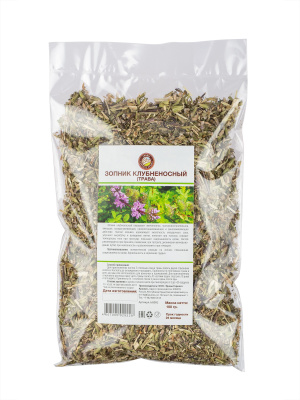 Зопник клубненосный