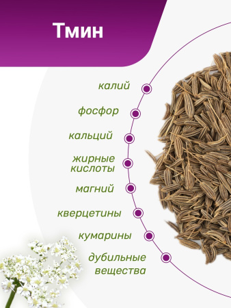 Тмин