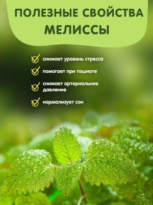 Наш Чай с мелиссой 20 н/п, 50 гр