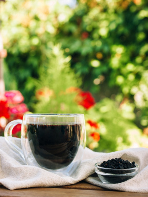 Ягоды бузины черной