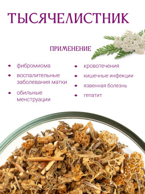 Тысячелистник