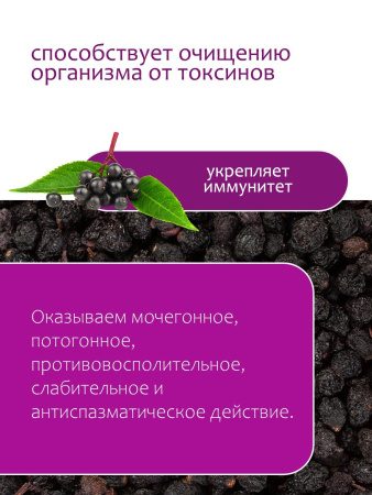 Бузина черная плоды