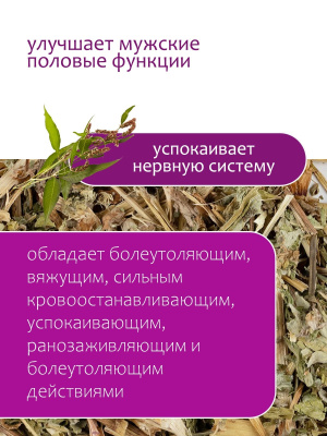 Горец перечный (водяной перец)