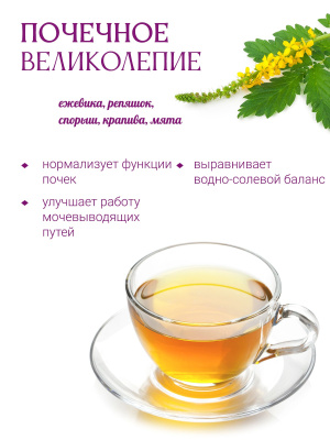 Почечное великолепие (почечный) Почечное великолепие (почечный)