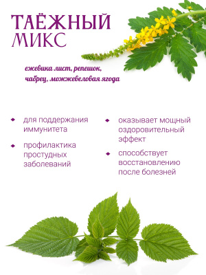 Таёжный микс