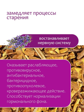 Шлемник байкальский