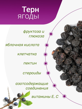Терн ягоды
