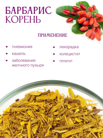 Барбарис (корень)