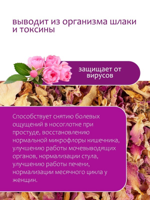 Роза