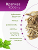 Крапива корень